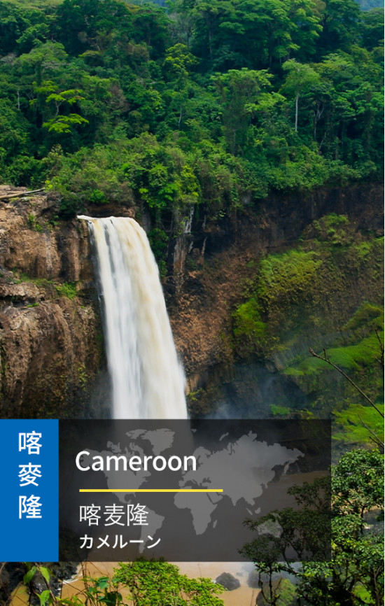 Cameroon - 4G Data