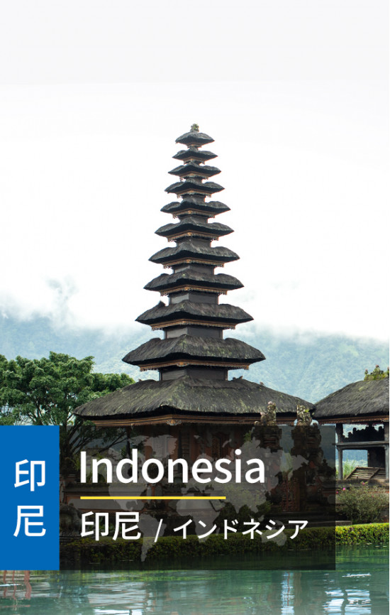 Indonesia - 4G Data
