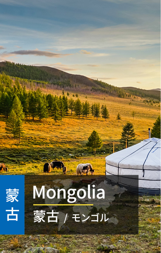 Mongolia - High Speed 3G Data