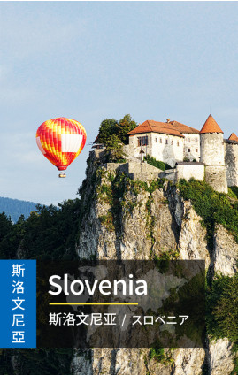 Slovenia  - 4G Data