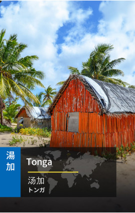Tonga - High Speed 3G Data