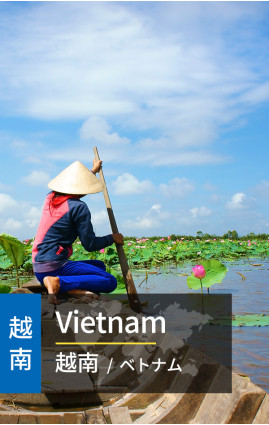 Vietnam - 4G Data