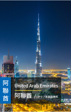 UAE -  5G Data